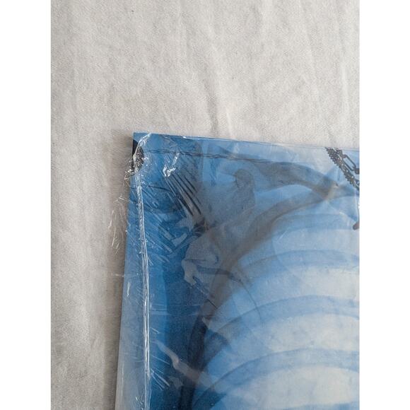 Lorde Signed Vinyl Virgin LP Autographed X-Ray Picture Disc - Picture 6 of 16